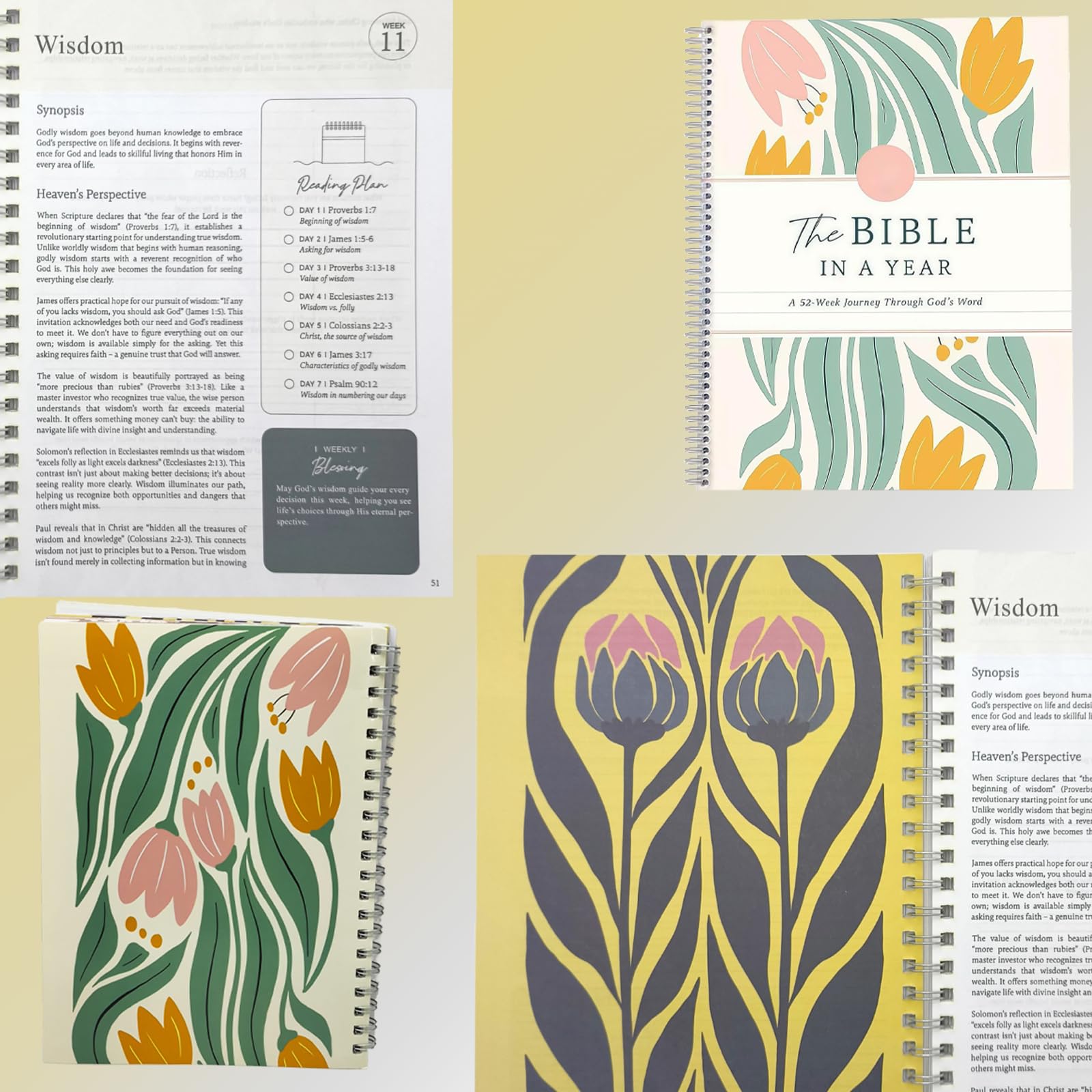 EmmaScribe 2025NEW The Bible In A Year A 52 - Week Bible Study For Women Spiral - EmmaScribe