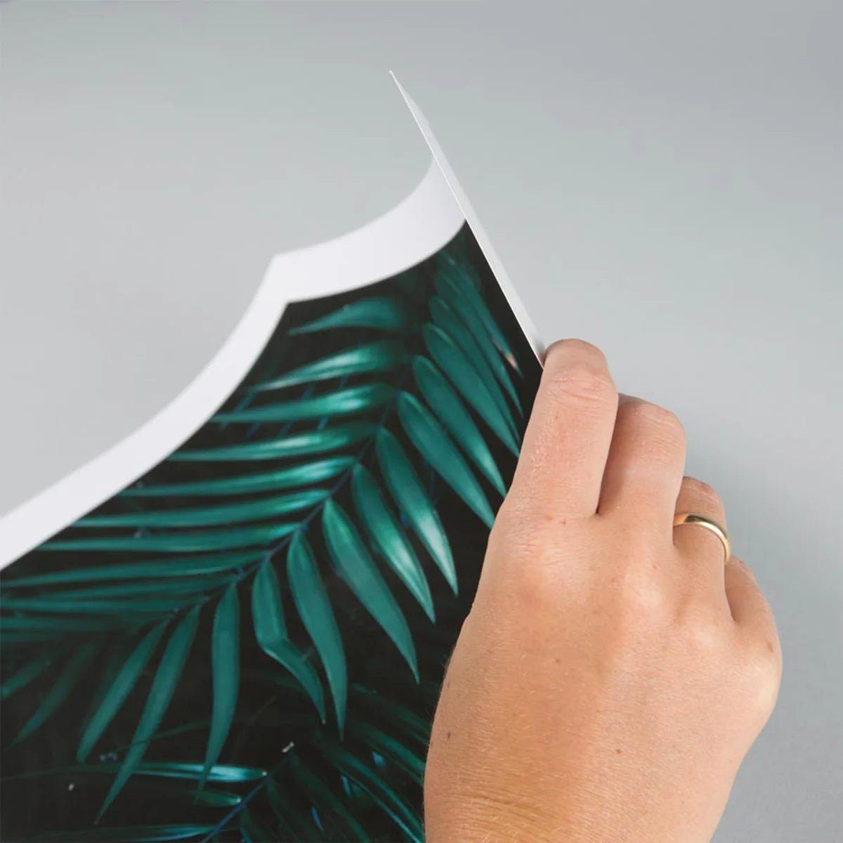 EmmaScribe Large Format Prints - EmmaScribe