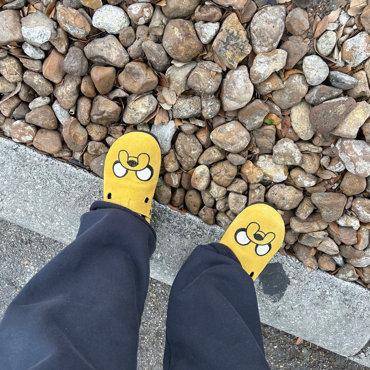 Unisex Character Clogs Collection